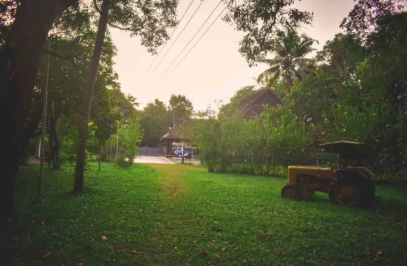 Best restaurants near mararikulam beach